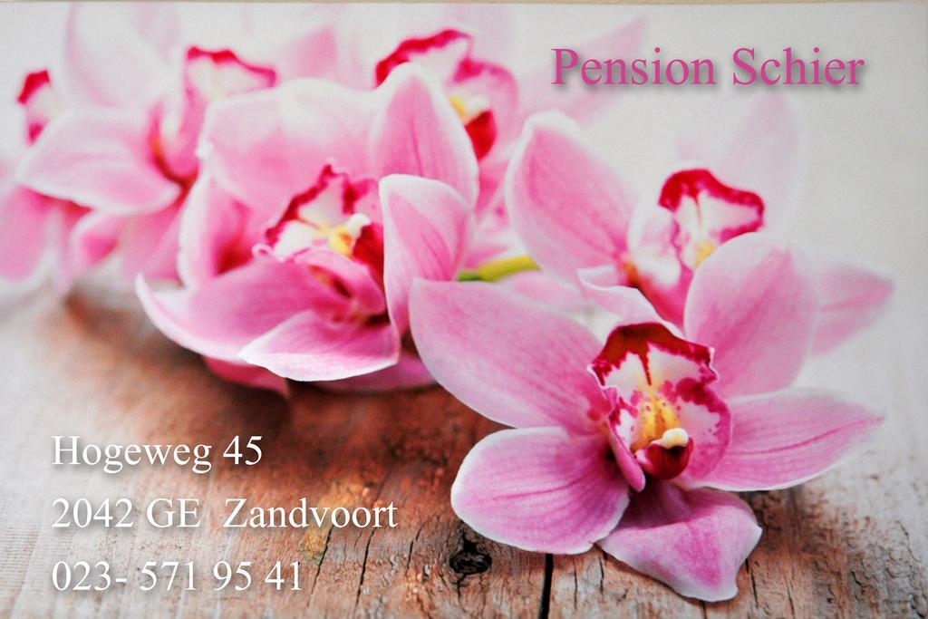 Pension Schier Zandvoort Eksteriør billede